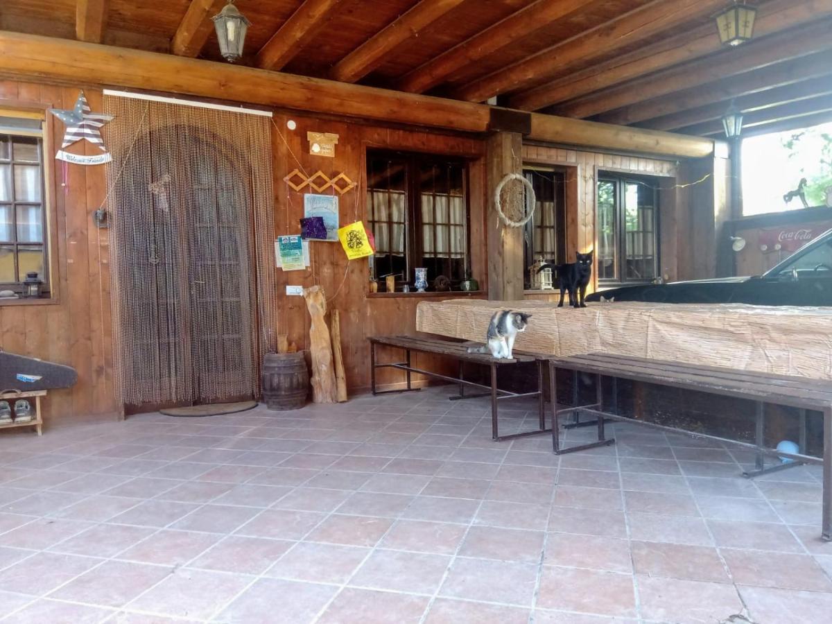 Pirola Music Ranch Guest House B&B Романо-ди-Ломбардия Экстерьер фото